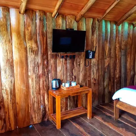 Eco Creations Wooden *