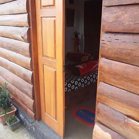 20/20 Wood Homestay
