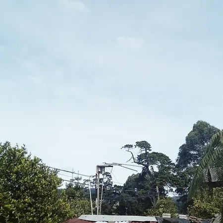 20/20 Wood Homestay *