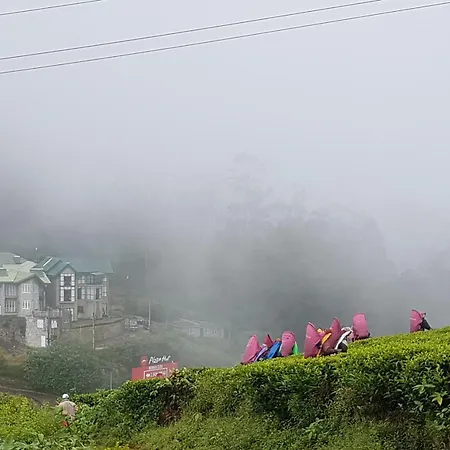 Wintry Hills-nuwara Eliya