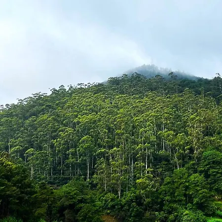 Apartment Wintry Hills-nuwara Eliya *