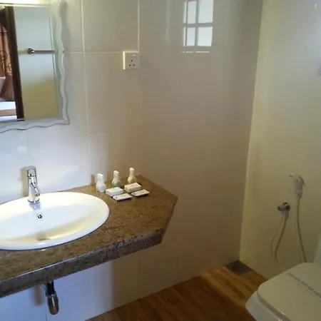 Alpine Hotel 3*