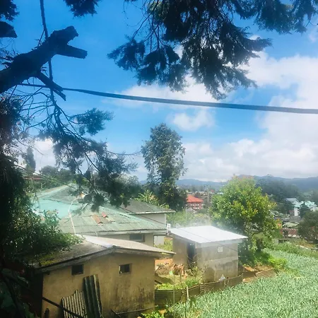 Homestay City *