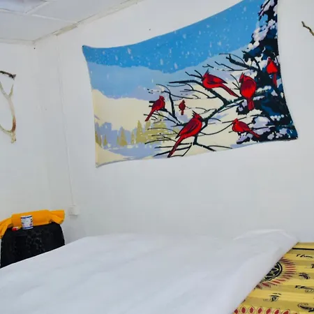 City Homestay *