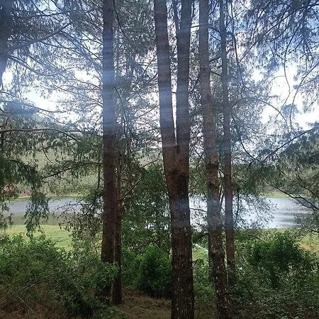 Campsite Nuwaraeliya Activities
