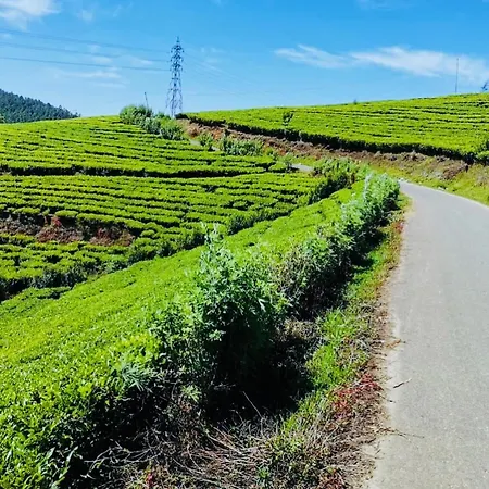 Villa Portswood Luxury Bungalow Nuwaraeliya Nuwara Eliya