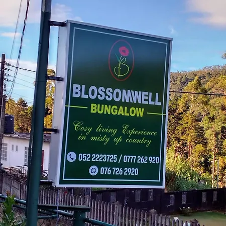 Blossomwell Guest house Nuwara Eliya