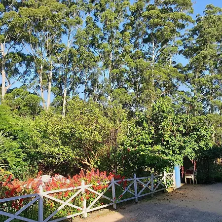 Panorama View Nuwara Eliya