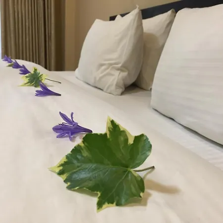 Hotel Trevene Colonial 2*
