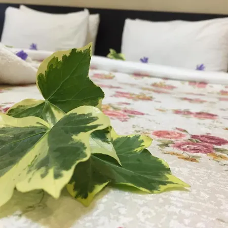 Trevene Colonial Hotel 2*