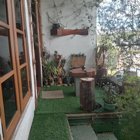 Homestay 20/20 Wood