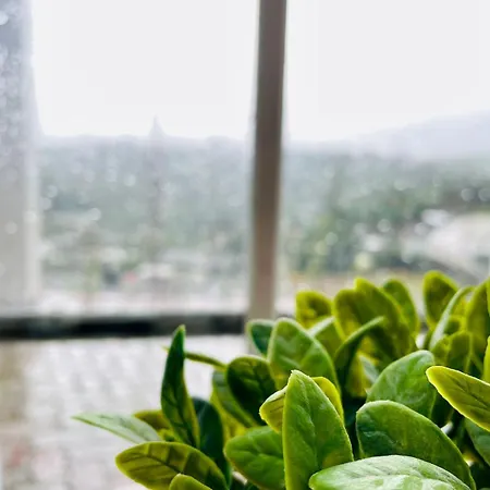 Cozy Clouds Guest house Nuwara Eliya