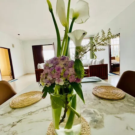Cozy Clouds Guest house 3*