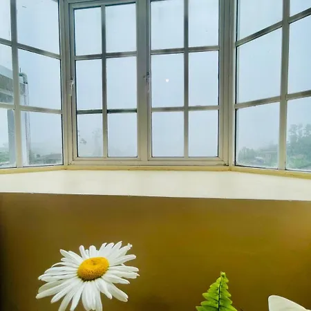 Cozy Clouds 3*
