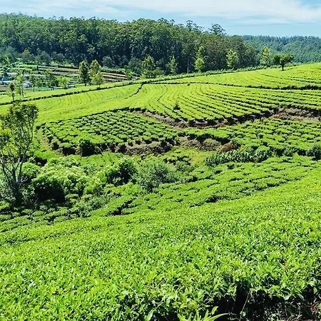 Portswood Luxury Bungalow Nuwaraeliya Villa *