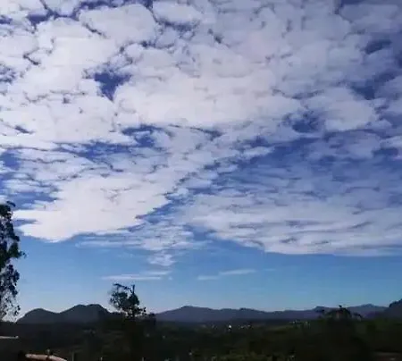 The Paulwood And Nuwara Eliya