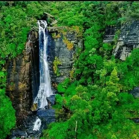 The Paulwood And Nuwara Eliya