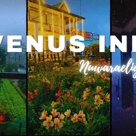 Guest house Venus Nuwara Eliya