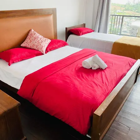 Guest house The Venice House 3*