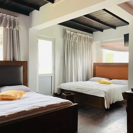 Guest house The Venice House 3*