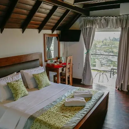 The Venice House Guest house