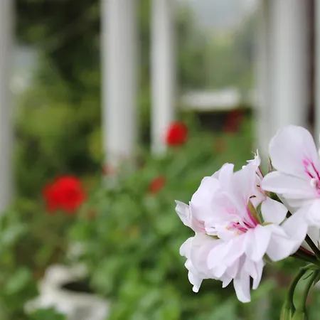 Sinora Bungalow Bed & Breakfast Nuwara Eliya