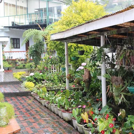 Sinora Bungalow 3*