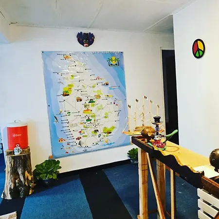 Hostel Haven Backpackers