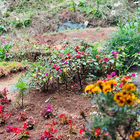 Lakeside By Clover Villa Nuwara Eliya