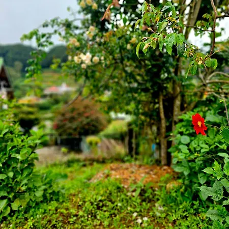 Haven Backpackers