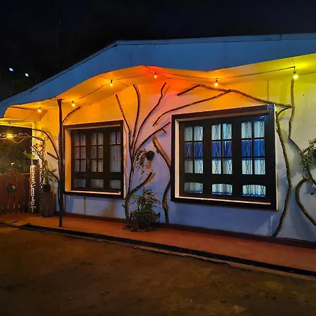Hostel Haven Backpackers *