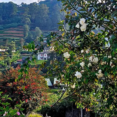 Haven Backpackers Hostel Nuwara Eliya