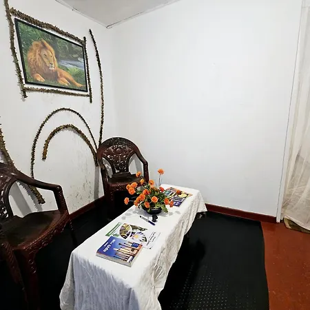 Hostel Haven Backpackers