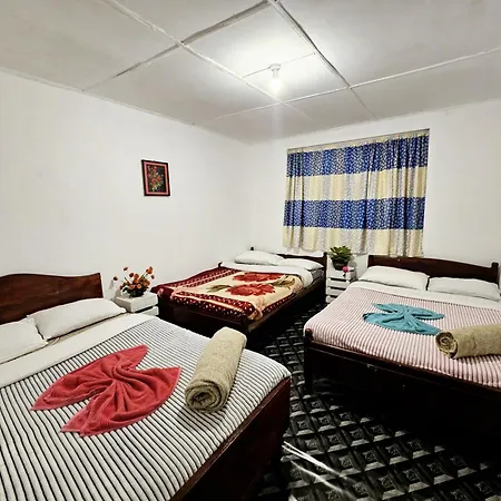 Hostel Haven Backpackers *