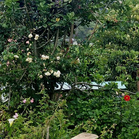 Haven Backpackers * Nuwara Eliya
