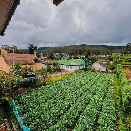 Homestay Selis Manor