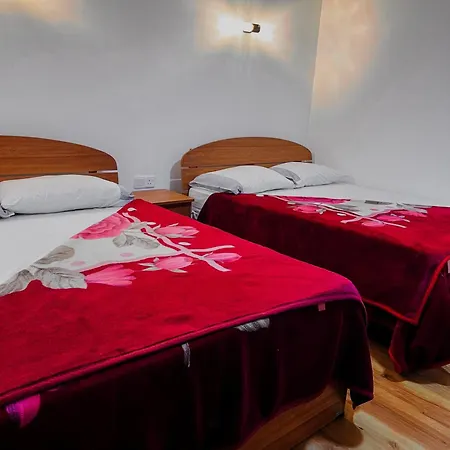 Selis Manor Homestay *