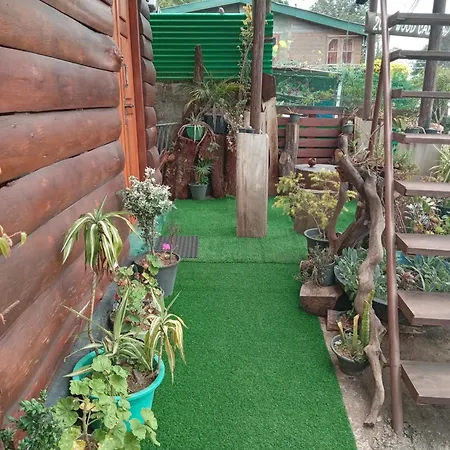 Homestay 20/20 Wood *
