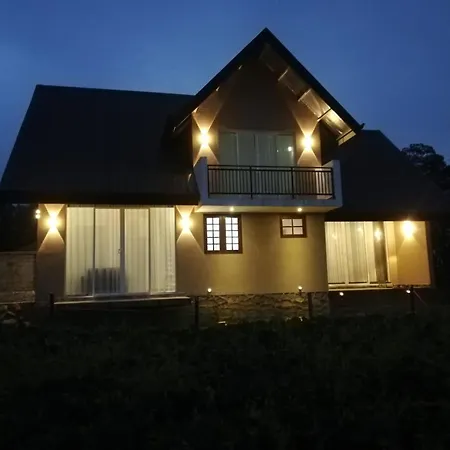 Honey Bees & Lily Trees Lodge