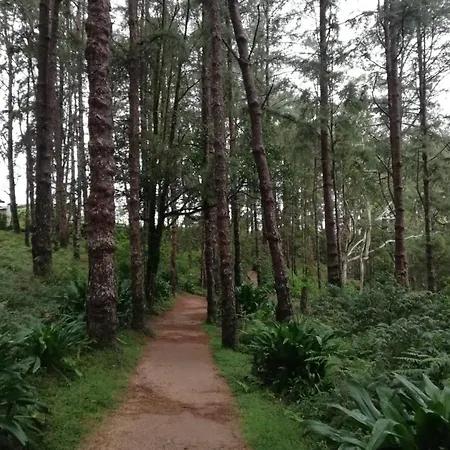 Lodge Honey Bees & Lily Trees Nuwara Eliya