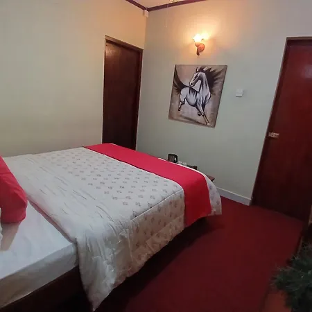 Paradise Guest house 3*