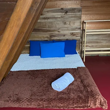 The Tranquil Wooden *