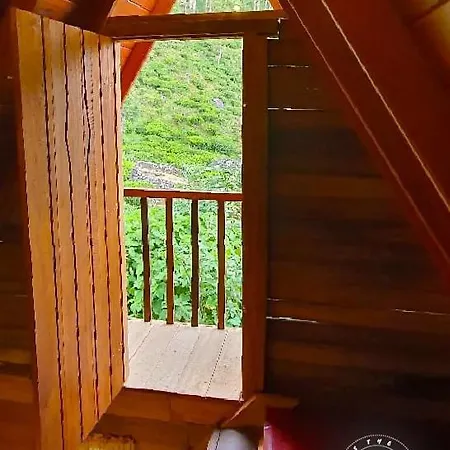 The Tranquil Wooden Luxury tent *