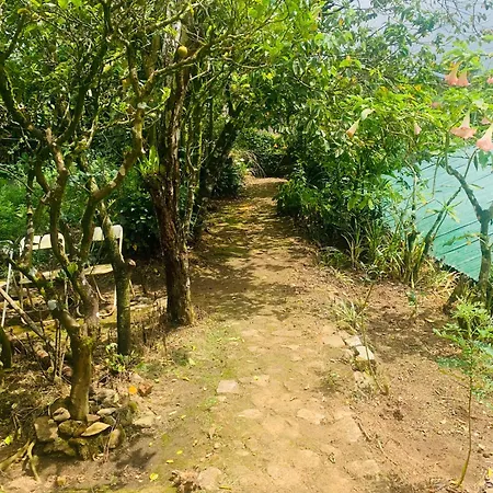 Homestay Pedro Stay,cooking Classes & Tours *