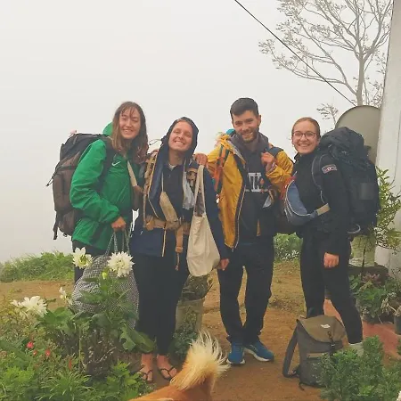 Hikers