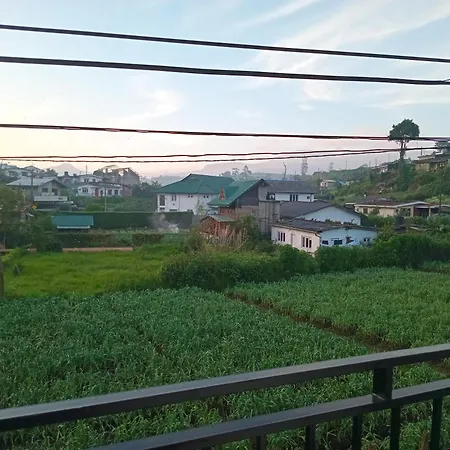 Serenity Heights