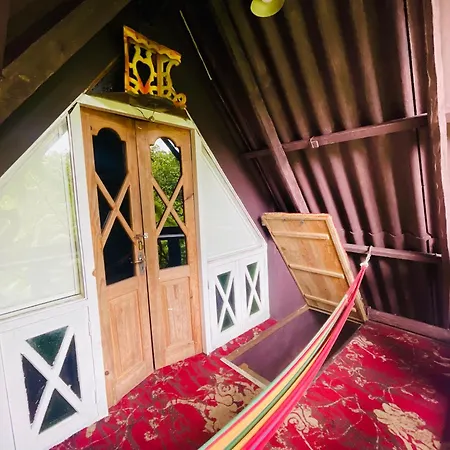 King Fern Guest house