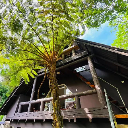 King Fern Guest house *