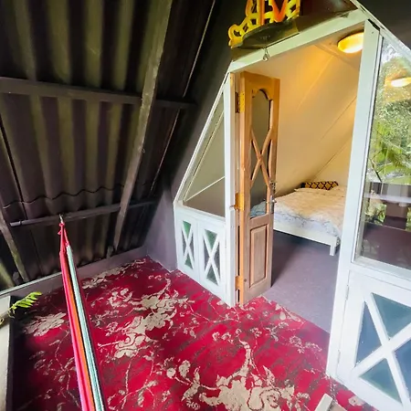 Guest house King Fern Nuwara Eliya