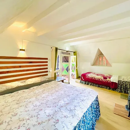 Guest house King Fern